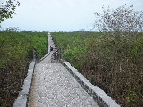 緑の中にのびる遊歩道