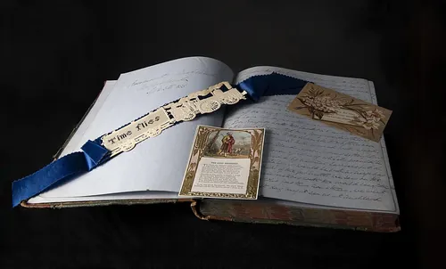 The image is a page from one of the diaries of Harriet Louisa Browne. Harriet was the wife of Thomas Gore-Browne a British colonial administ